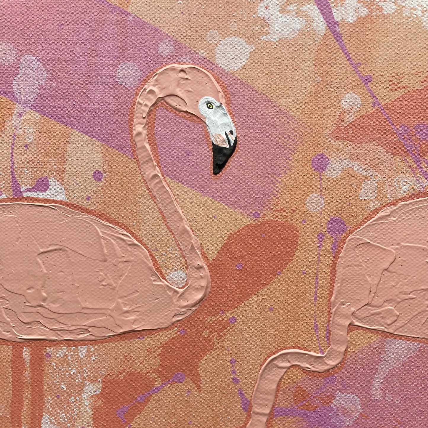Be a flamingo showing a close up of one of the flamingos' face
