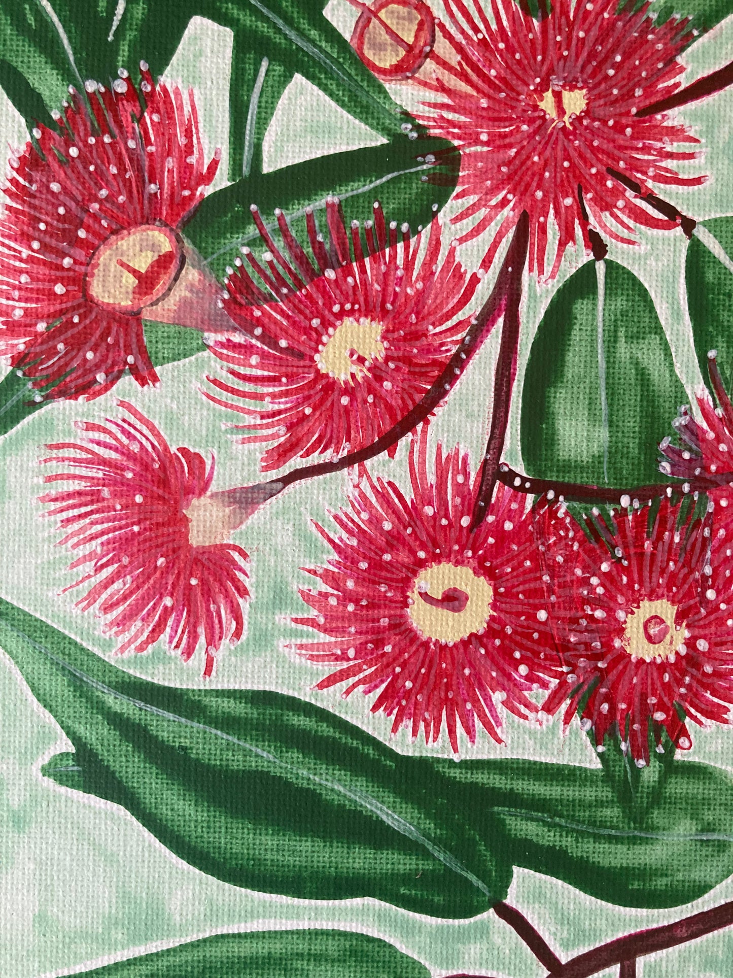 “Red Flowering Gum” - 25cm x 25cm