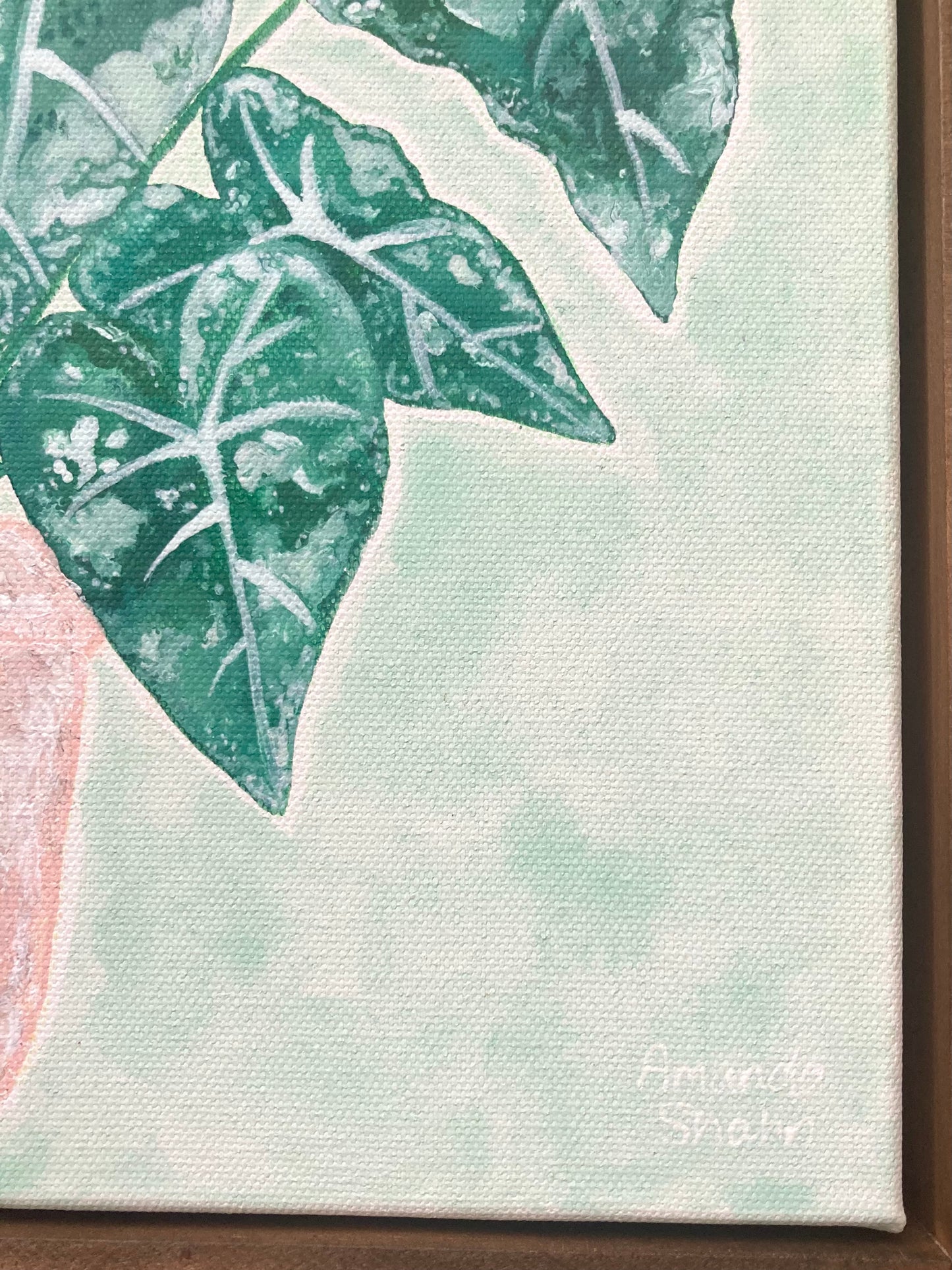 "Alocasia Frydek" 30cm x 30cm