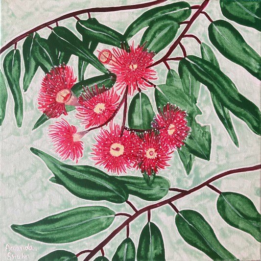 “Red Flowering Gum” - 25cm x 25cm