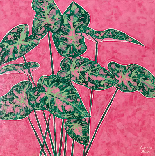 "Pink Cloud" 35cm x 35cm